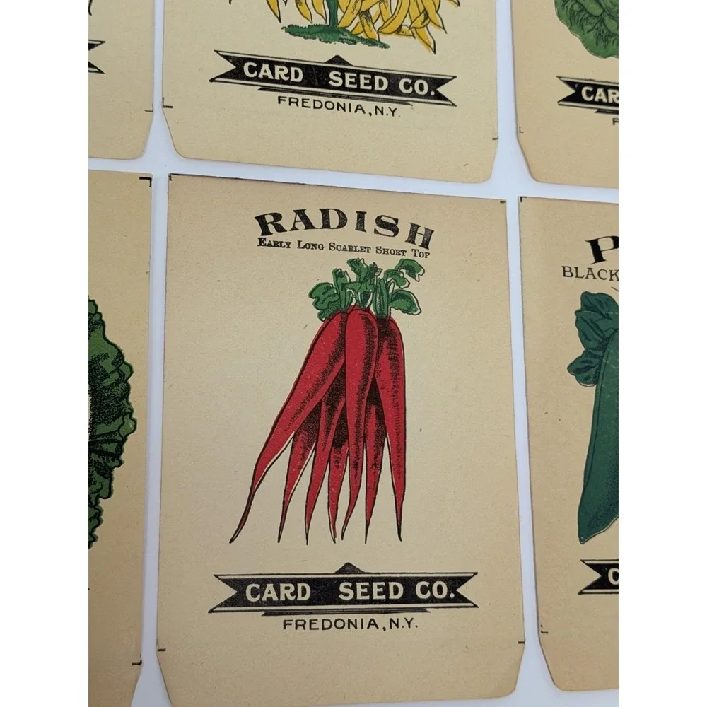 Lot of Six Card Seed Company Antique Seed Packets from Fredonia, N.Y. Farm Decor